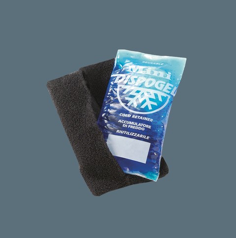 ICE_2_preventioncare